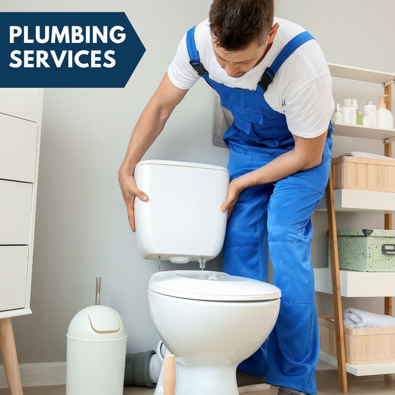 Plumbing Company in Allen, MD